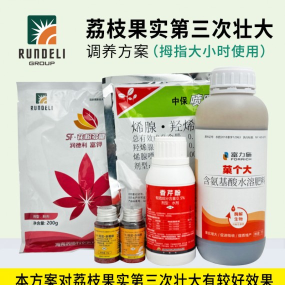 【荔枝果實第三次壯大】專用調養(yǎng)方案