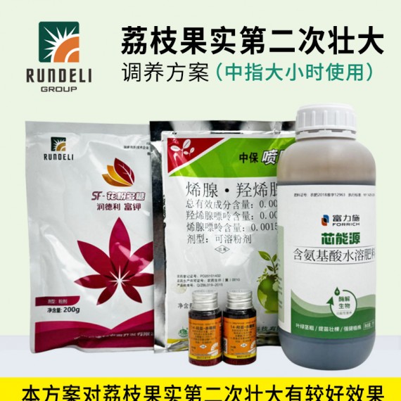 【荔枝果實第二次壯大】專用調養(yǎng)方案