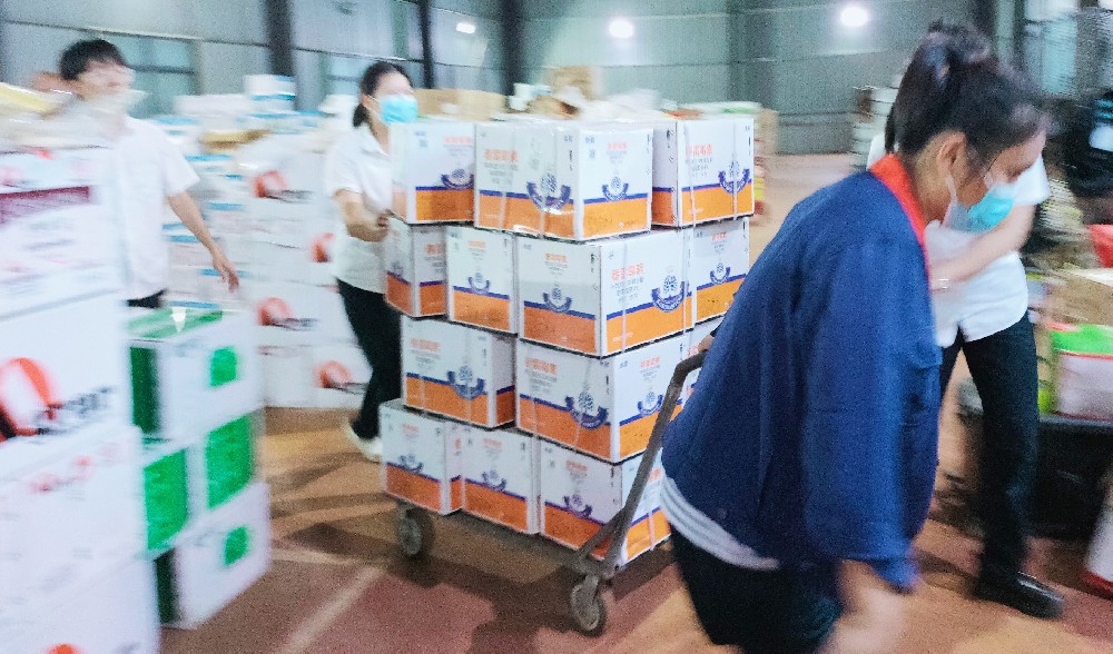 國慶節(jié)前，海南潤德利如火如荼地出貨中……