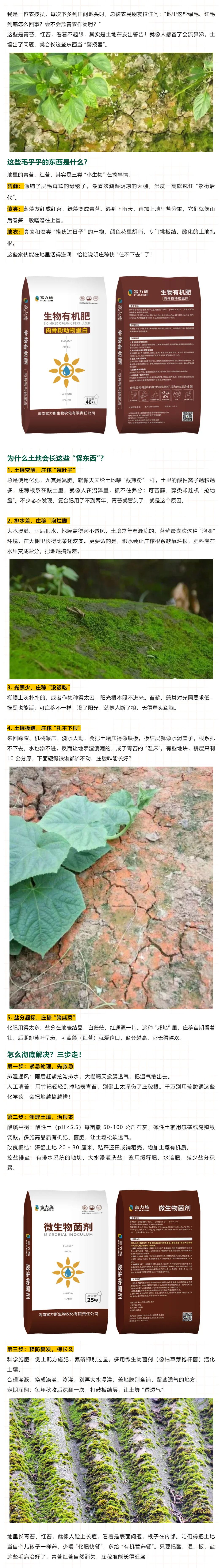 地里長青苔、紅苔咋整？農(nóng)技員教你根治！.png