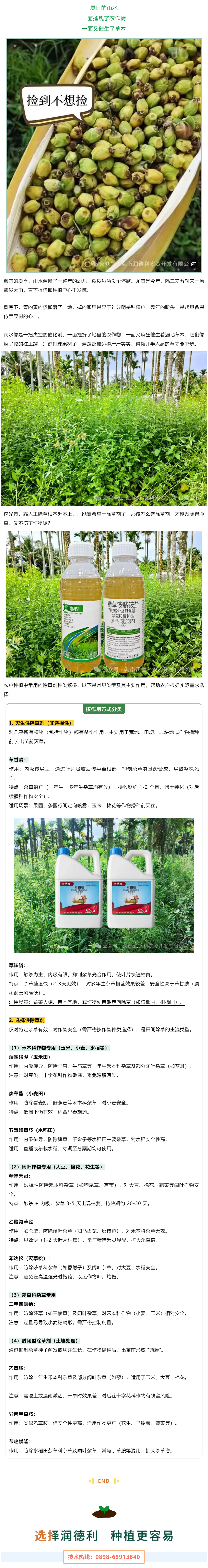 除草劑選不對？白花錢還傷作物！一文教你精準選用，對癥除草.png